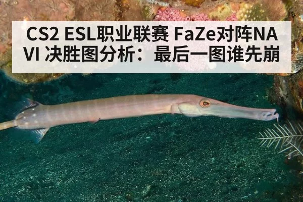 CS2 ESL职业联赛 FaZe对阵NAVI 决胜图分析：最后一图谁先崩
